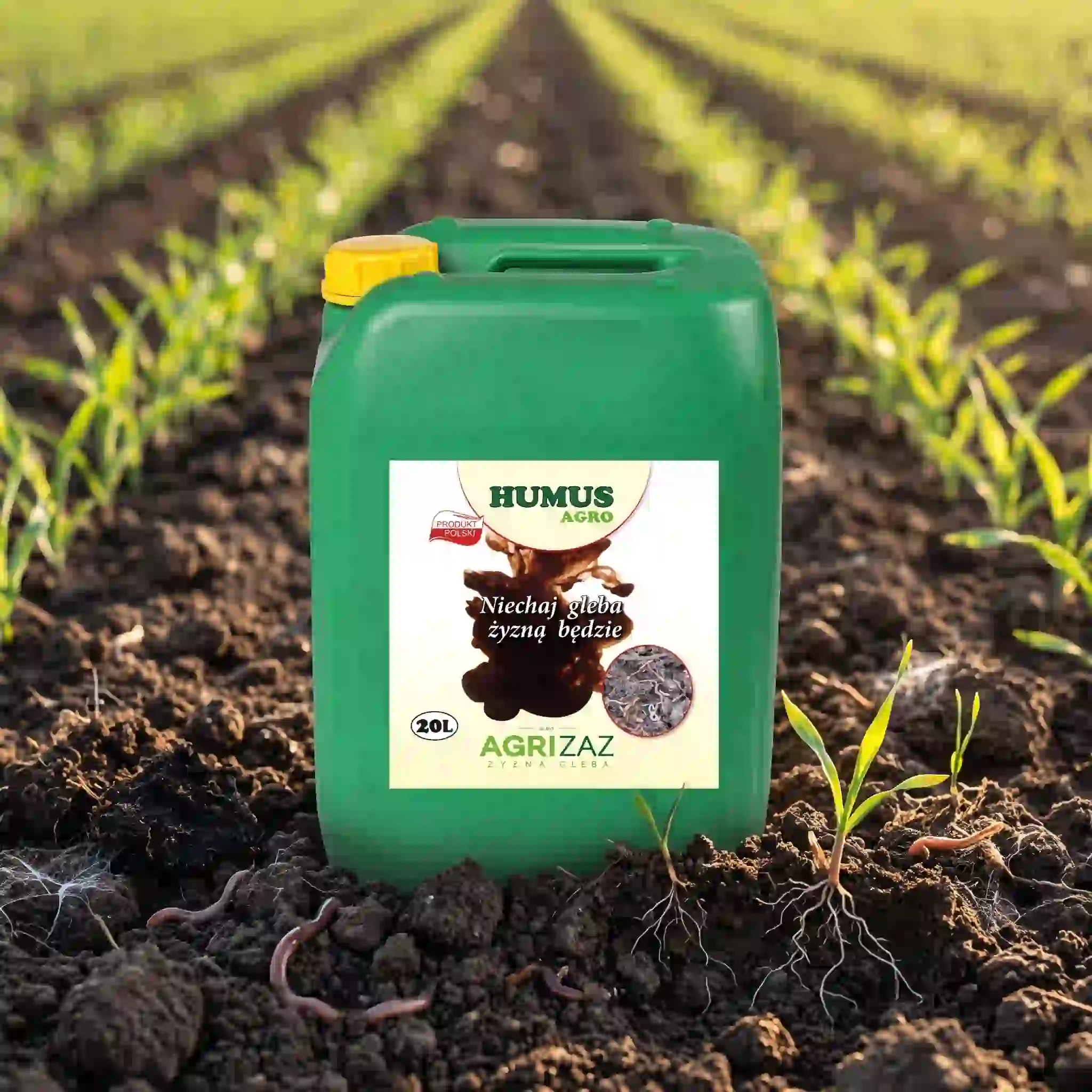 Zielony kanister 20L kwasów humusowych Humus Agro marki Agrizaz stojący na ziemi w polu z młodymi siewkami