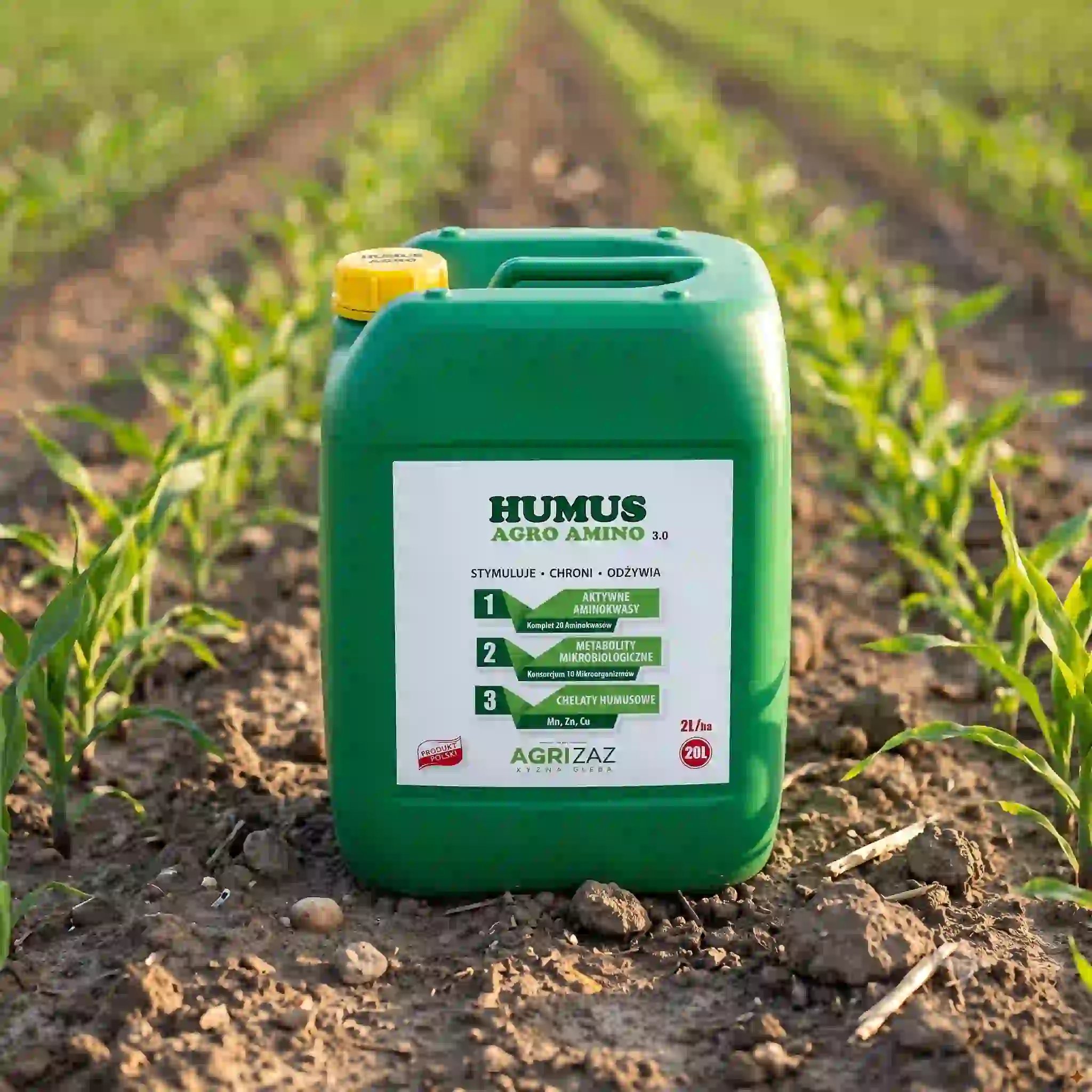 Zielony kanister 20L biostymulatora Humus Agro Amino 3.0 marki Agrizaz stojący na ziemi w polu między rzędami młodych siewek